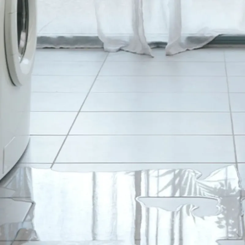 Appliance Leak Cleanup in Caddo Mills, TX
