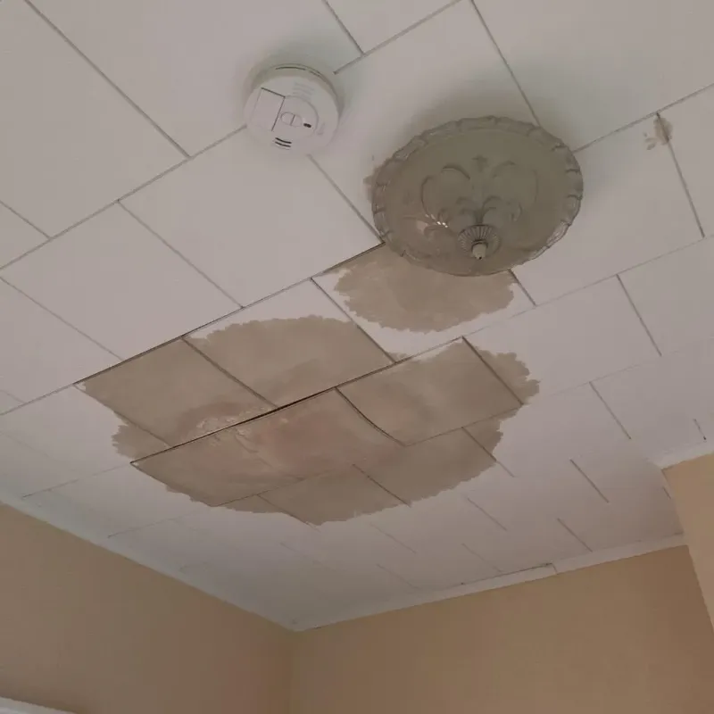Ceiling Water Damage Repair in Caddo Mills, TX