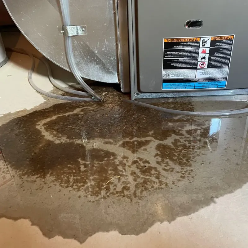 Pipe Burst and Leak Restoration in Caddo Mills, TX
